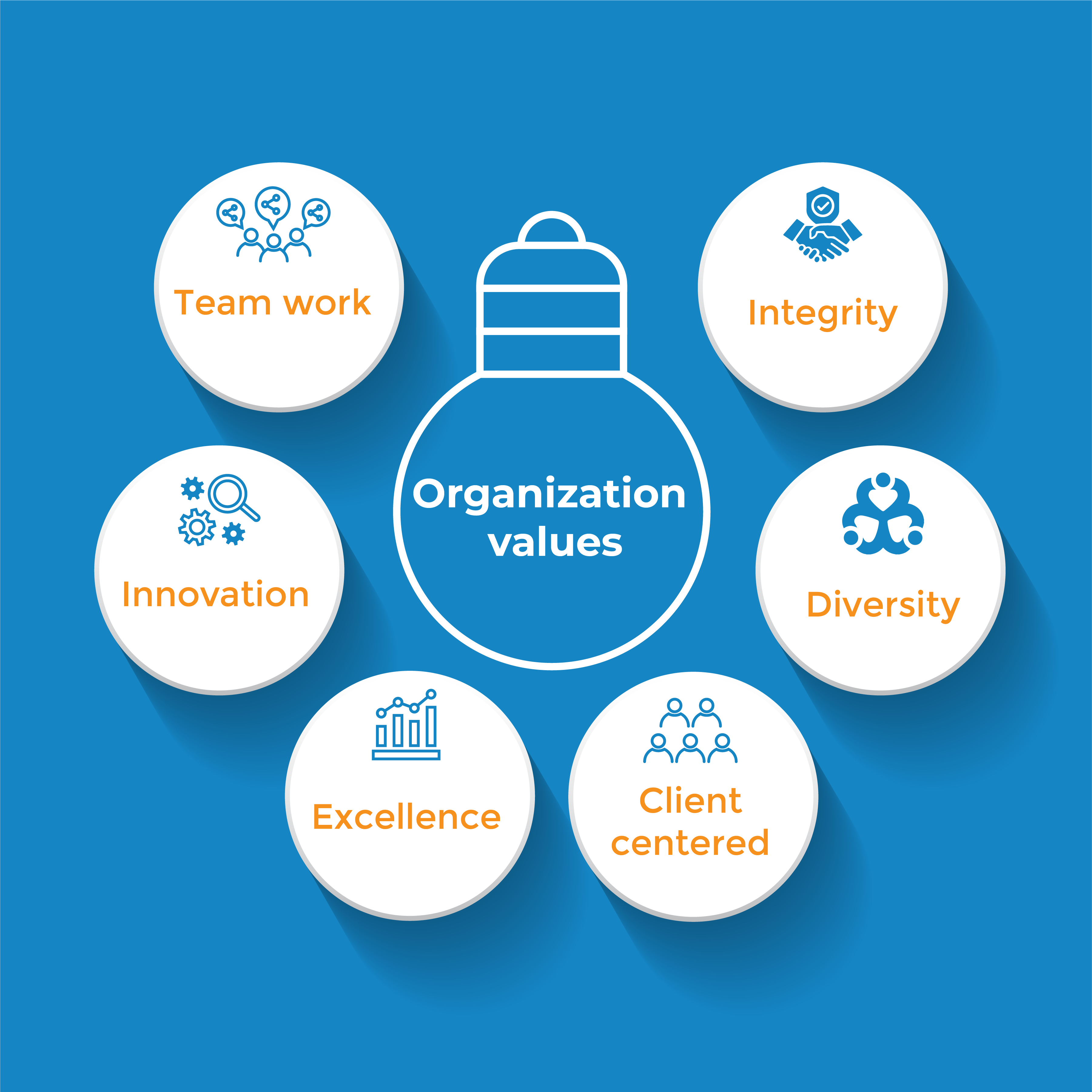 Organization values